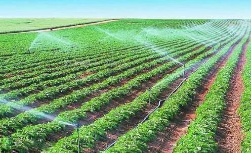 操外国女人的黑b农田高 效节水灌溉